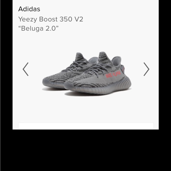 YEEZY BOOST 350 V2 Beluga 2.0 - Picture 10 of 11